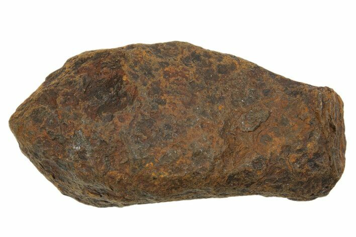 Mundrabilla Iron Meteorite ( g) - Australia #318890